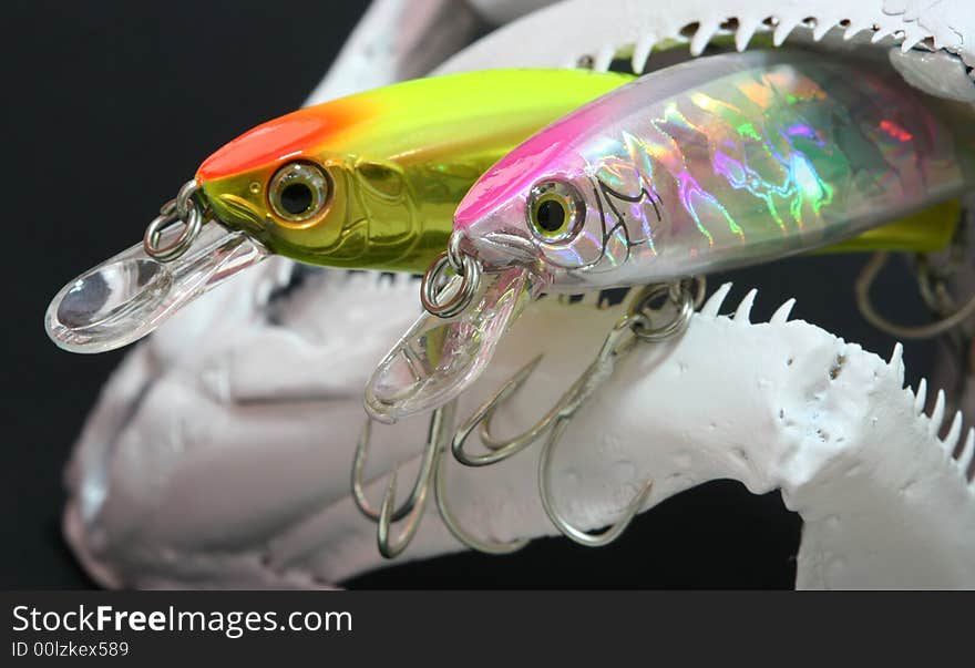 Fishing lures in a fish skull. Fishing lures in a fish skull.