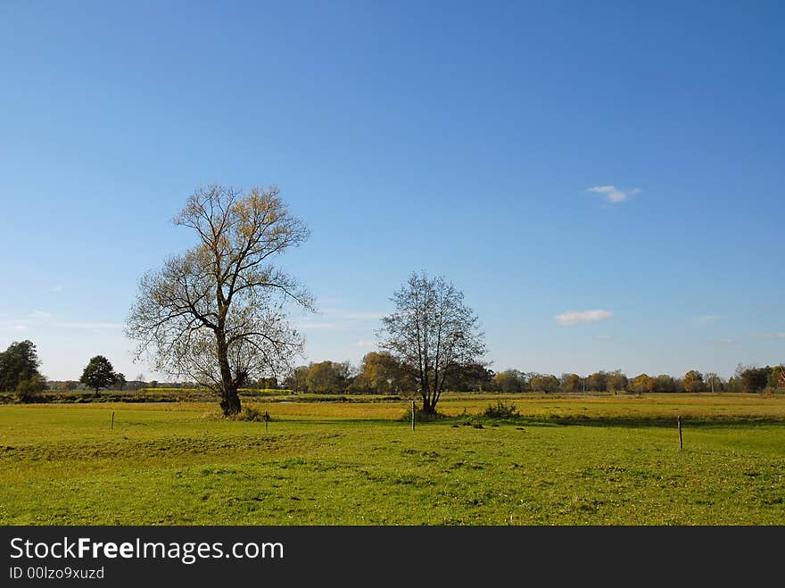 Central Poland flat typical landscape. Autumn. Central Poland flat typical landscape. Autumn.