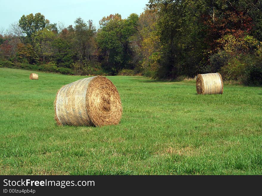 Hay Rolls in a green field