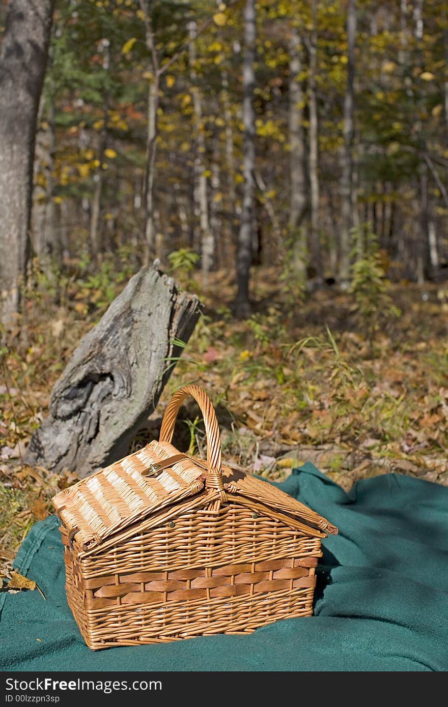 A picture of a picnic basket in the woods. A picture of a picnic basket in the woods