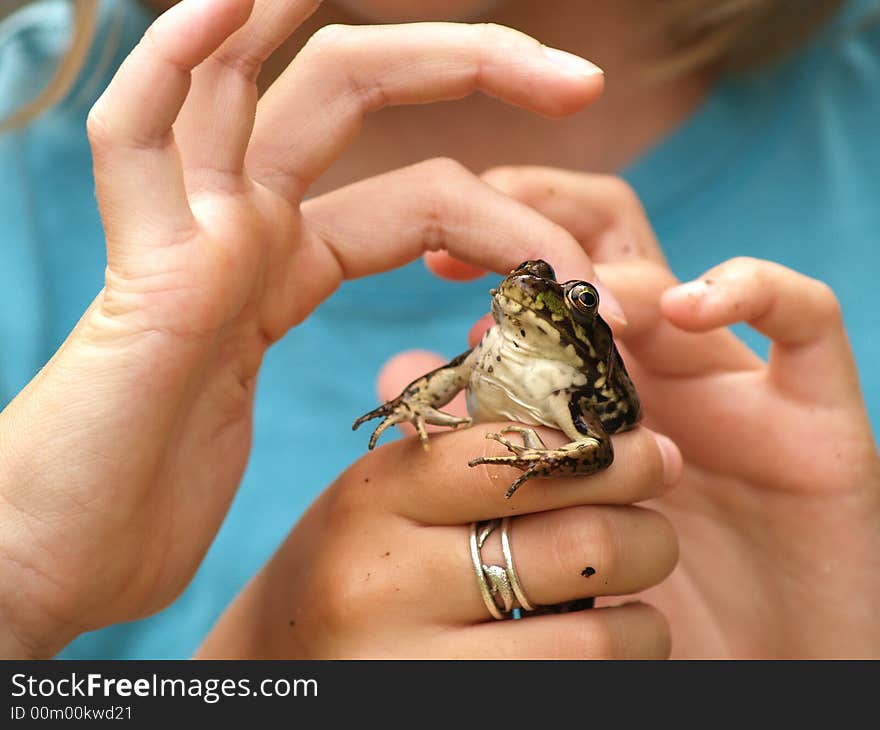 Three Hands and a Frog