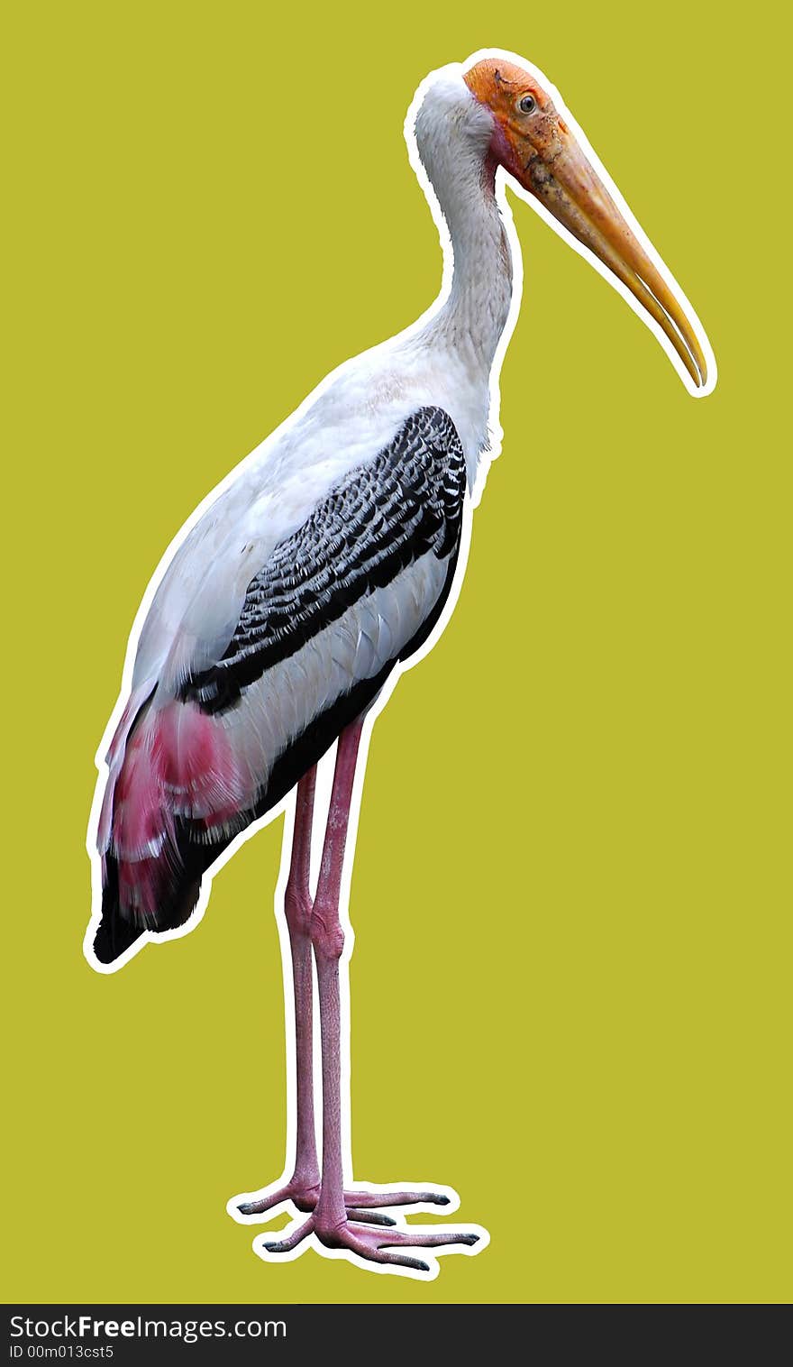 The Stork.