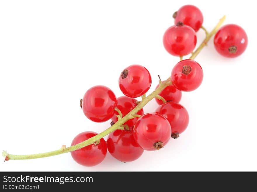 Red curant on the white background. Red curant on the white background