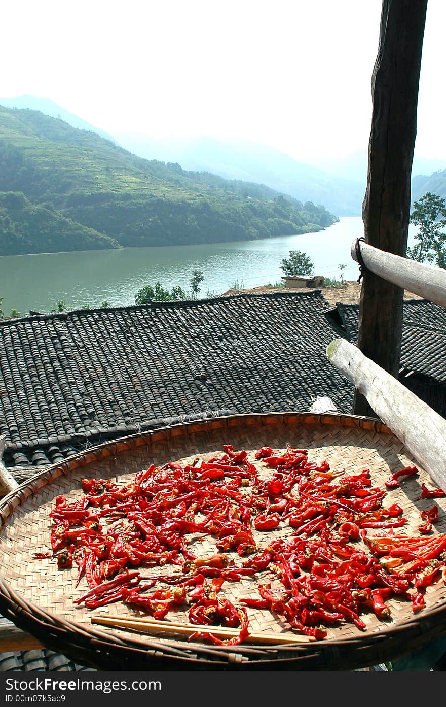 Red Capsicums