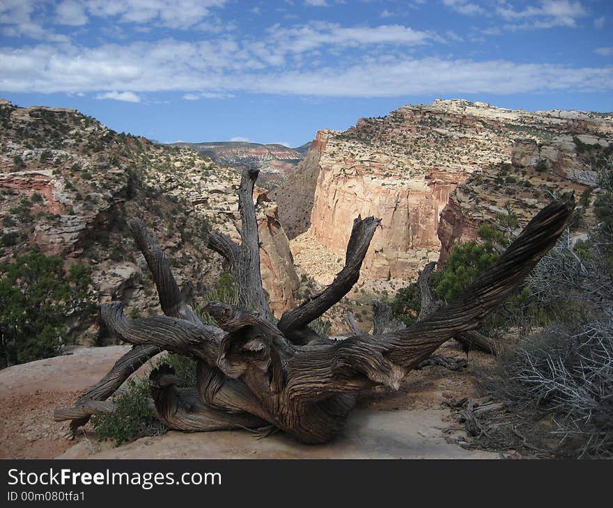 Golden Throne Trail