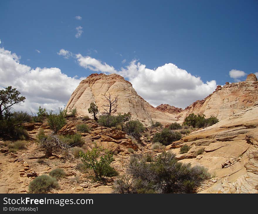 Capitol Gorge Trail