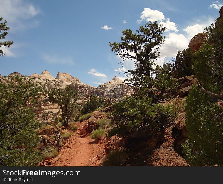 Cassidy Arch Trail