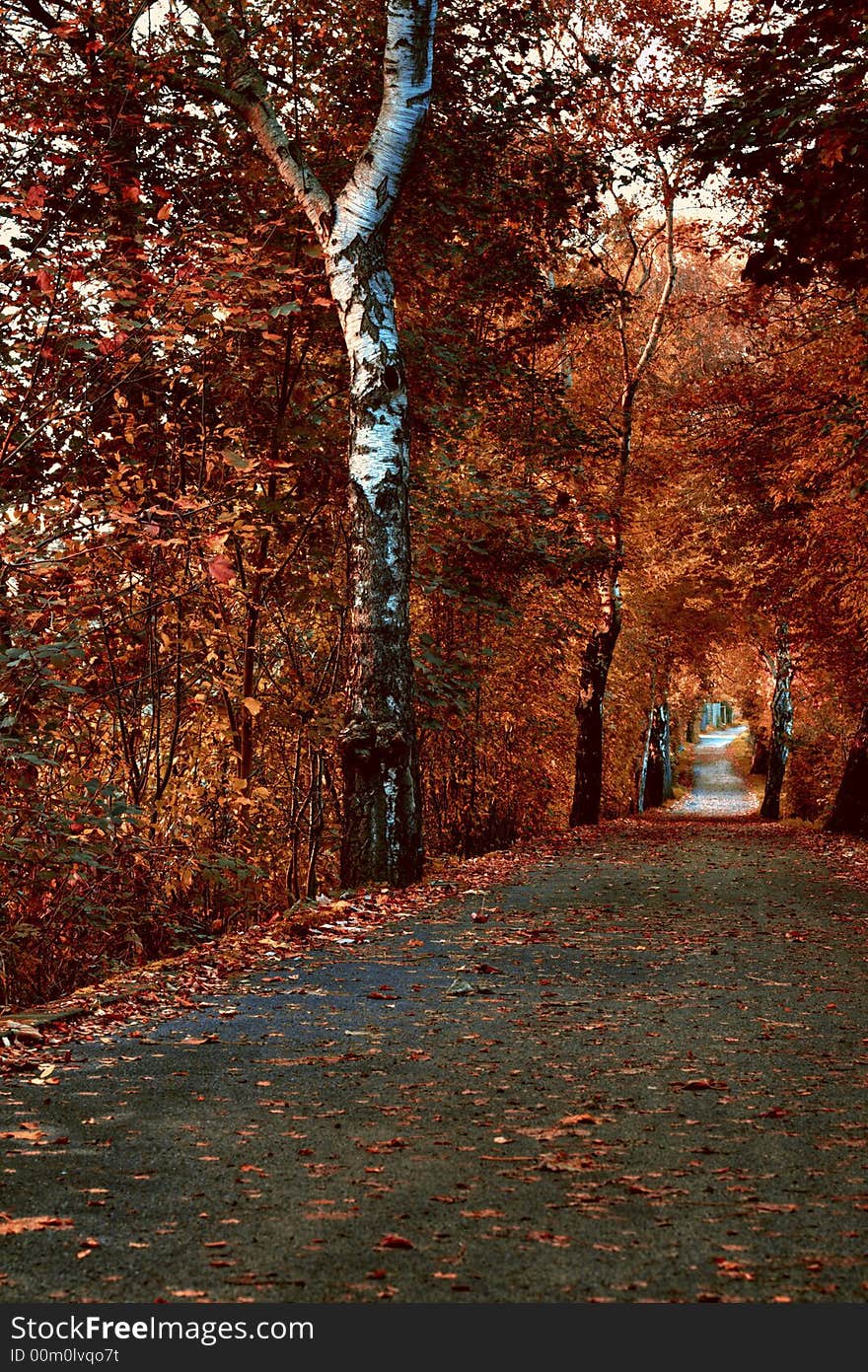 A way near at a River in Mülheim an der Ruhr in the colors of autumn