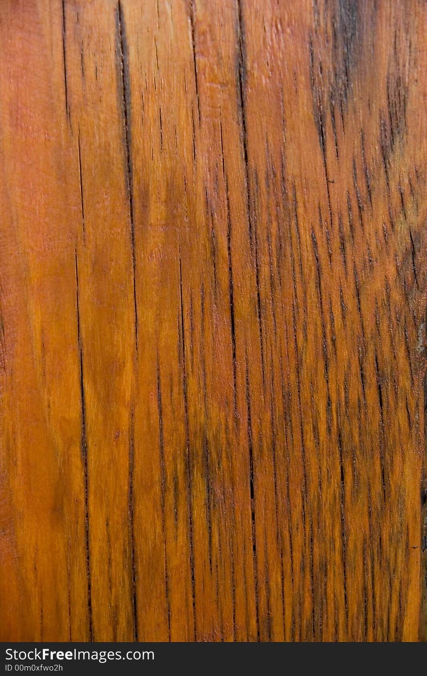 Wood Texture