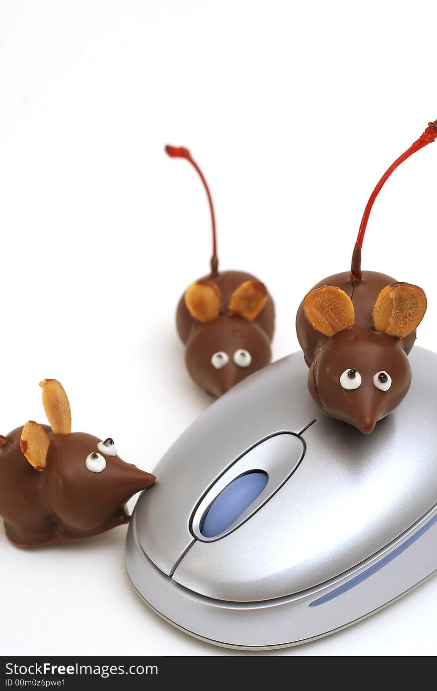 Shot of 3 chocolate mice & mouse vertical