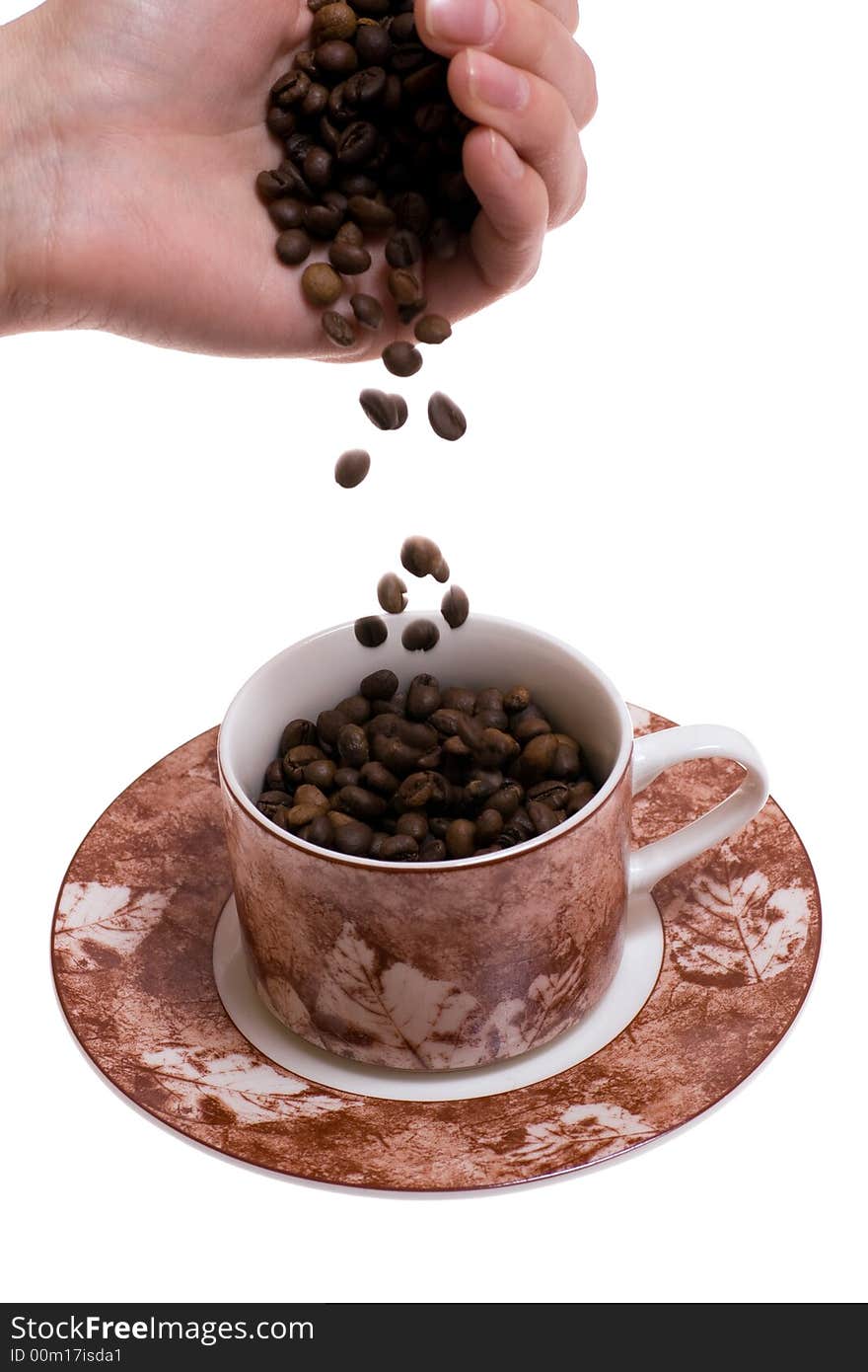 Woman's hand dropping coffee beans into cup. Woman's hand dropping coffee beans into cup