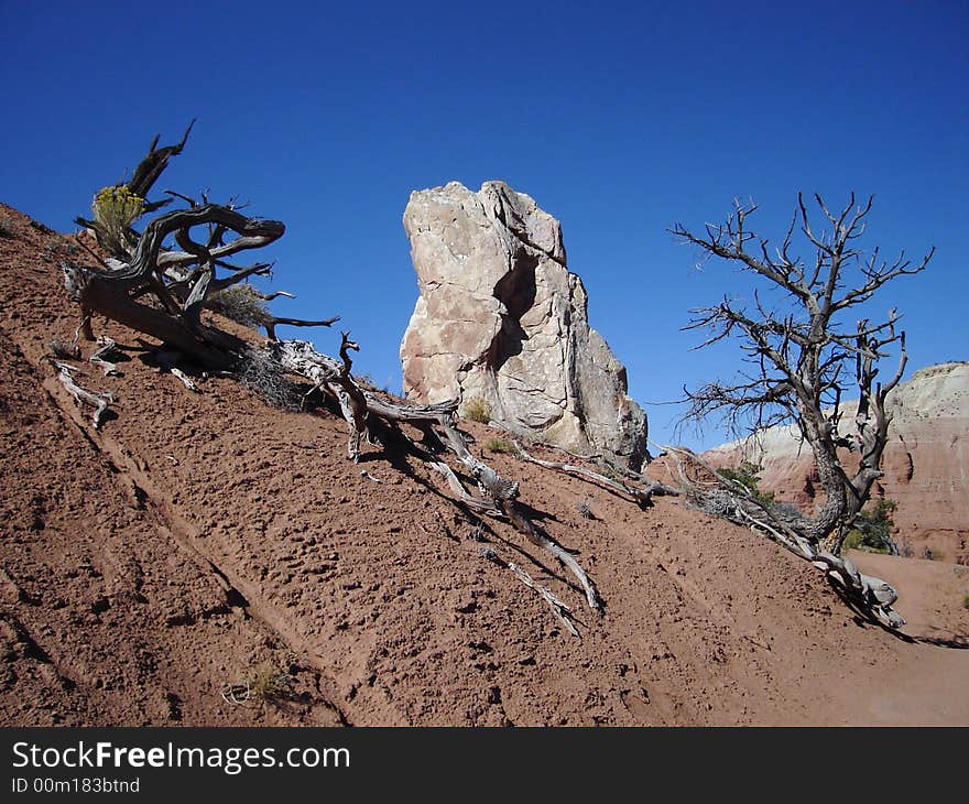 The picture taken in Kodachrome Basin State Park in Utah