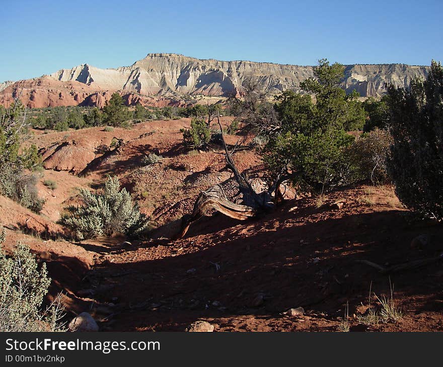 The picture was taken in Kodachrome Basin State Park.