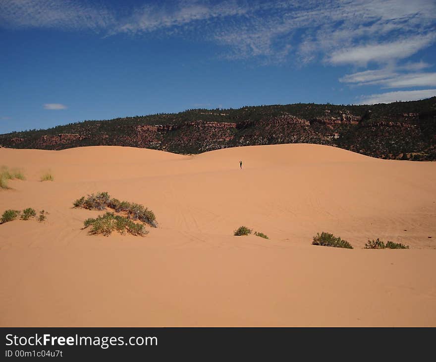 Coral Pink Sand Dunes