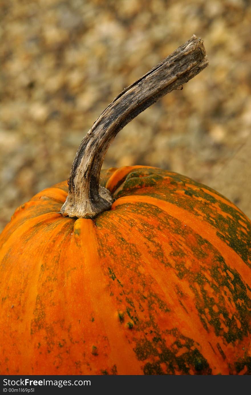 Pumpkin detail