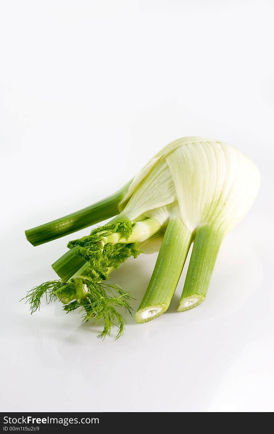 Close-up of fennel over white background. Close-up of fennel over white background