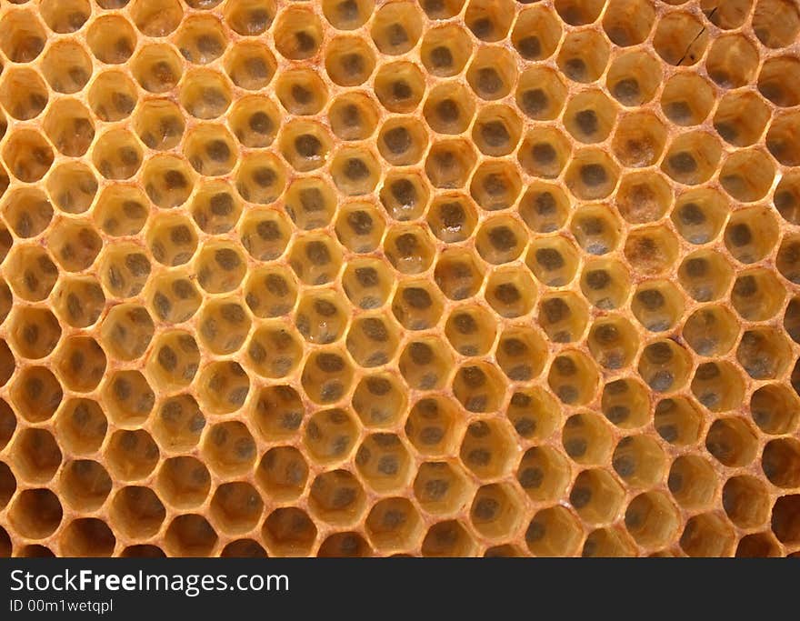 Honey texture