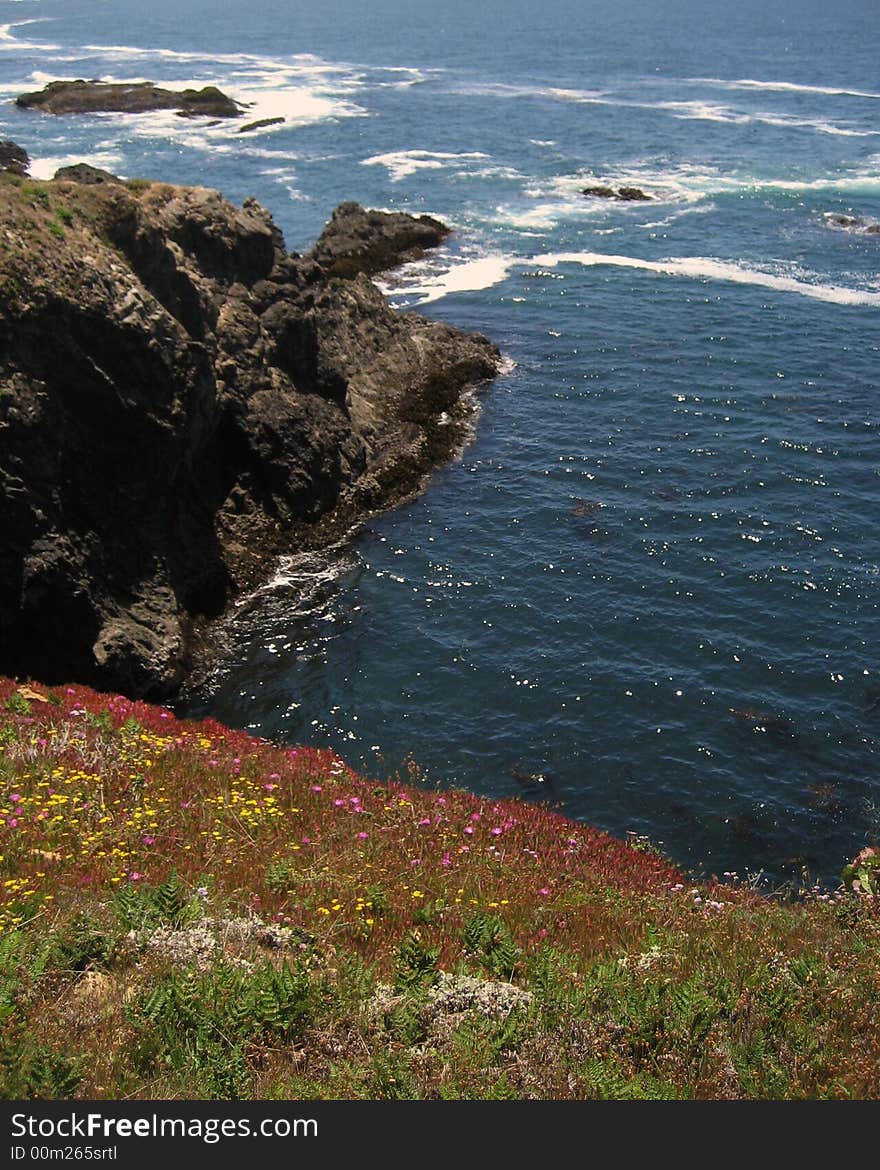 Mendocino Headlands