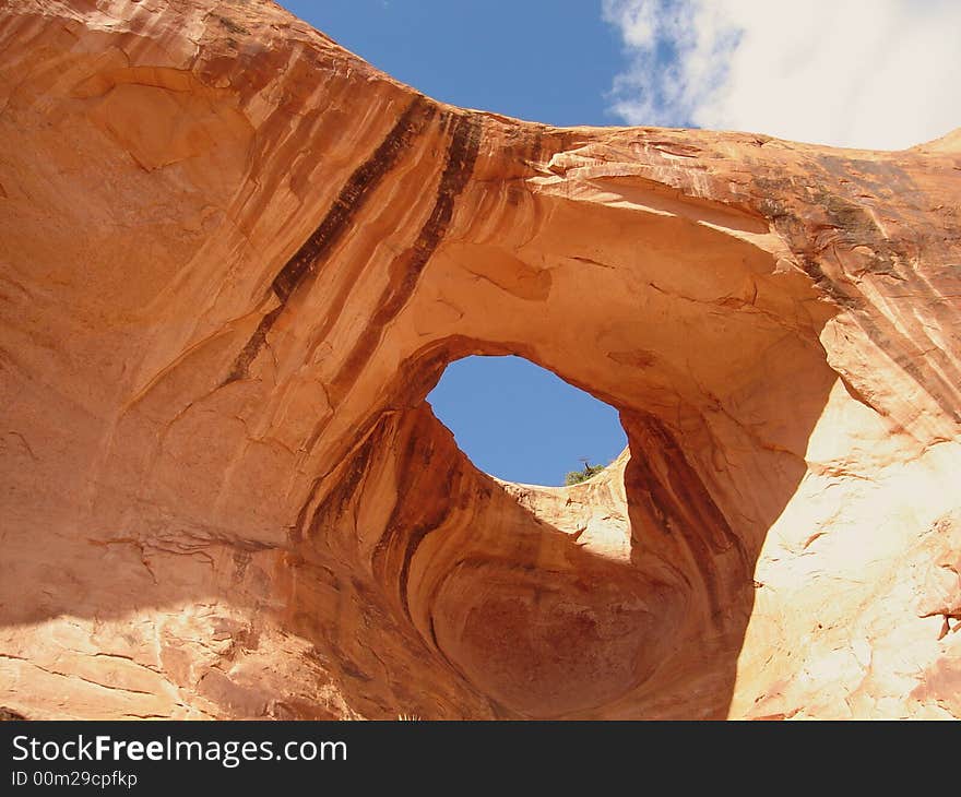 Bowtie Arch