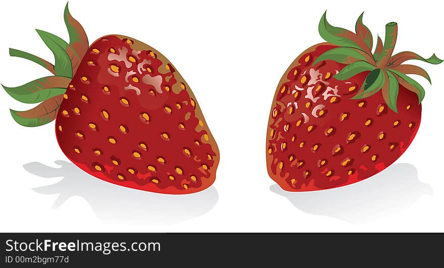 Vector illustration of a couple os strawberries