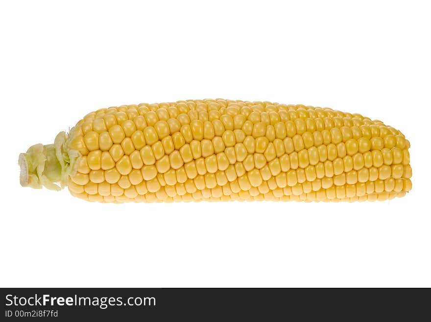 Fresh corn isolated on a white background. Fresh corn isolated on a white background