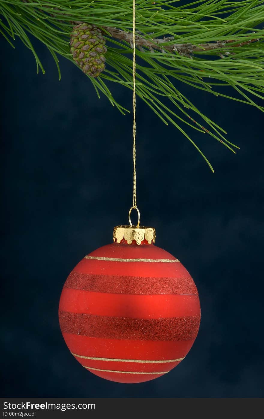 Christmas Decoration on a tree with a blue background