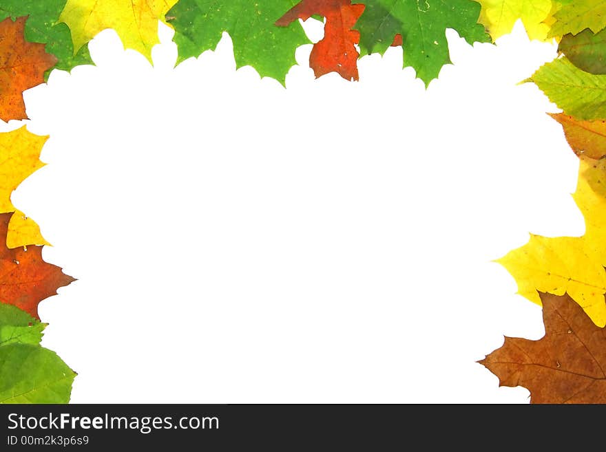 Autumn fall leaves - frame photo