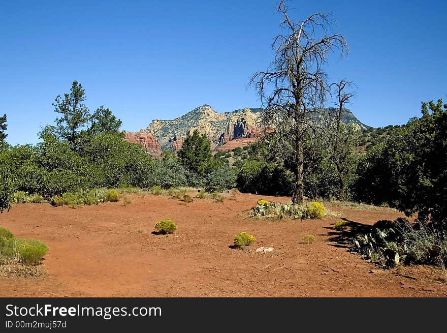 A picture of the beauty that is Sedona Arizona with the unique rock formations vegitation and  beautifull colors. A picture of the beauty that is Sedona Arizona with the unique rock formations vegitation and  beautifull colors