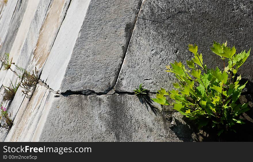 Detail of The 12BC Pyramid Of Cestius, Rome, Italy