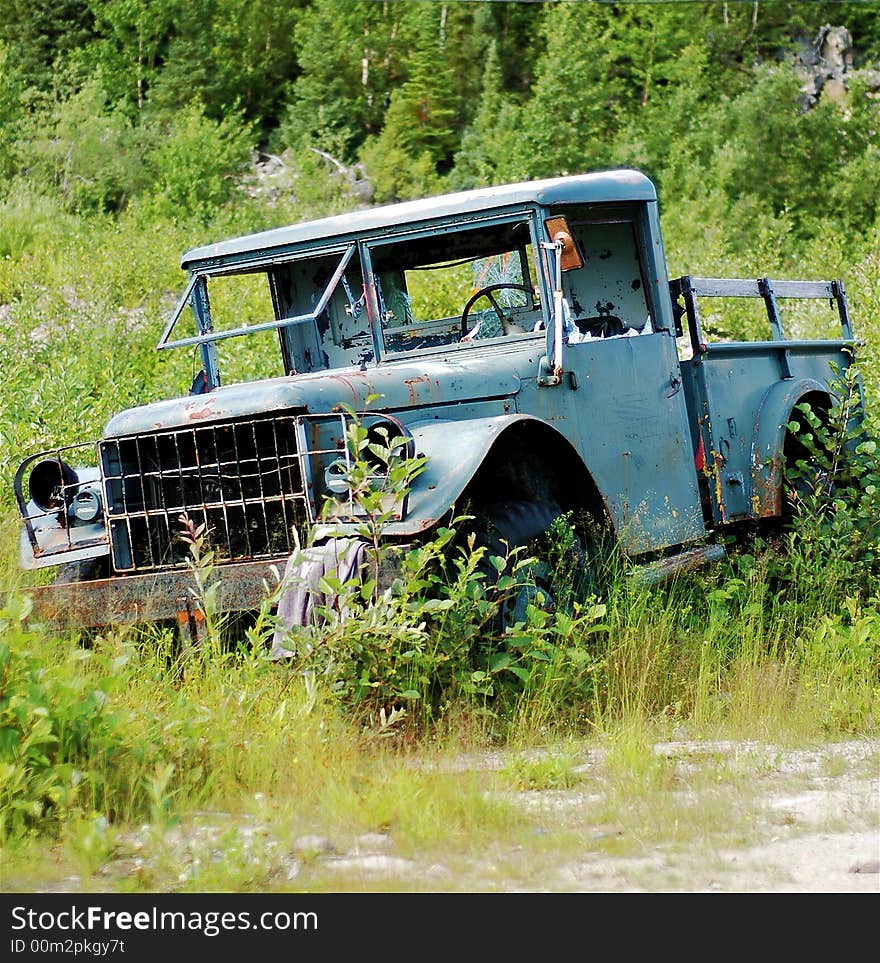 An abandoned landrover sits surrounded by foliage. An abandoned landrover sits surrounded by foliage.