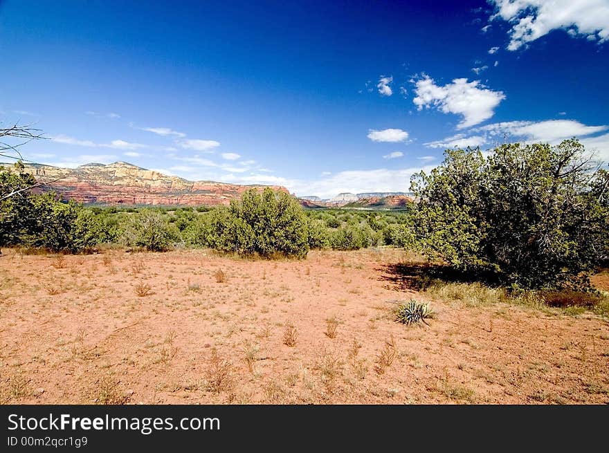 A picture of the beauty that is Sedona Arizona with the unique rock formations vegitation and  beautifull colors. A picture of the beauty that is Sedona Arizona with the unique rock formations vegitation and  beautifull colors