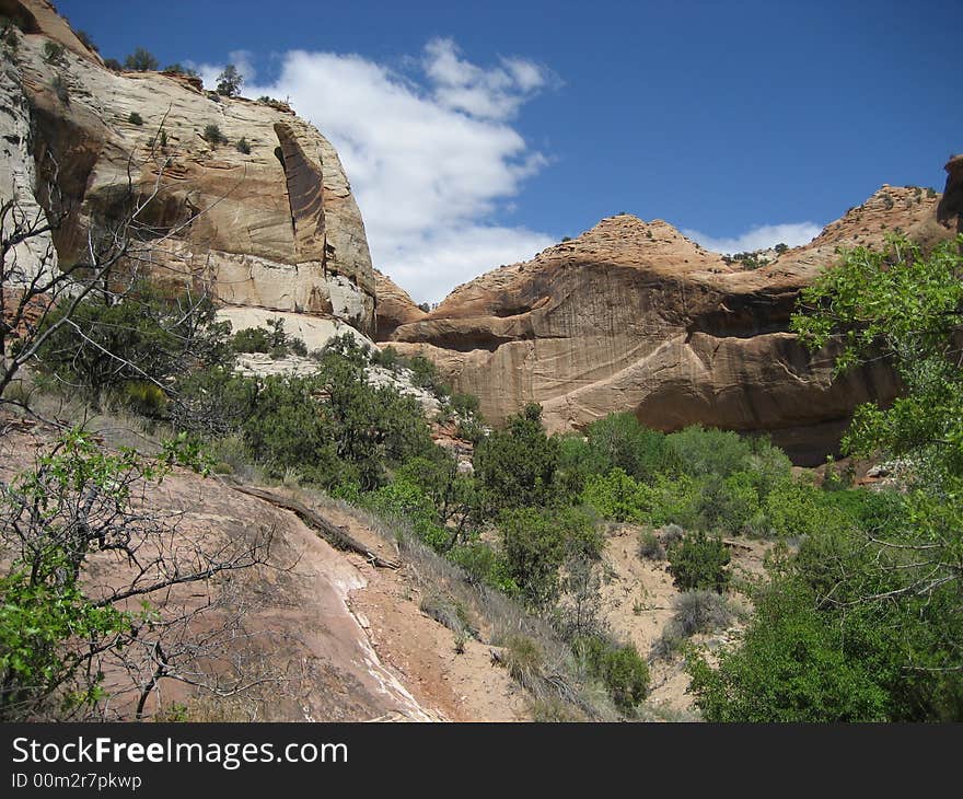 Lower Calf Creek Falls Trail