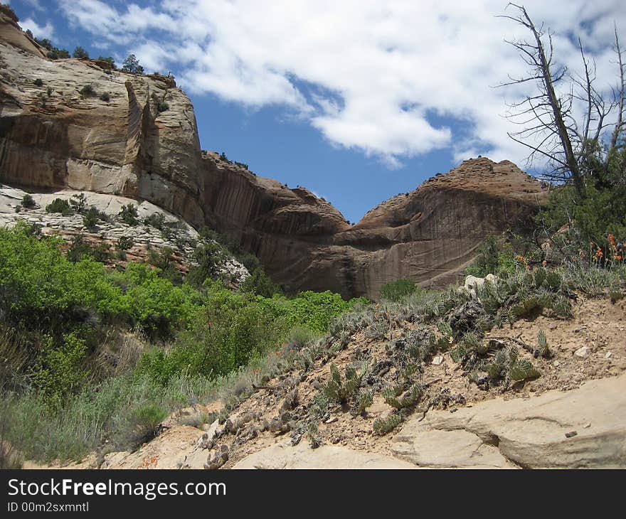 Lower Calf Creek Falls Trail