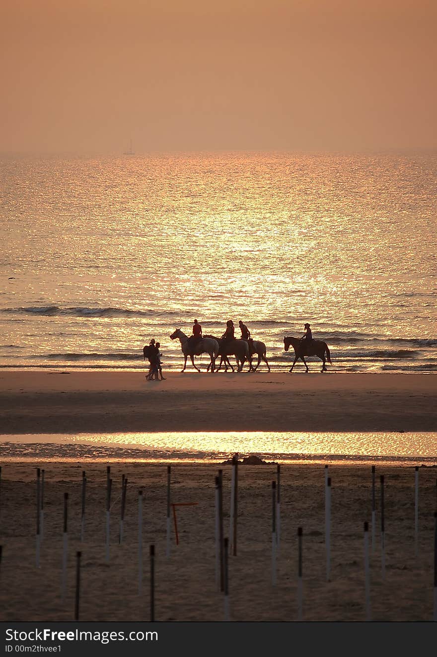 Campers on horses in the light of sunset