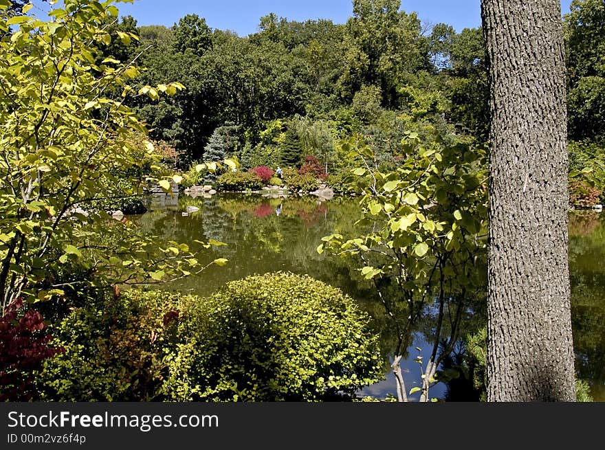 A japanese garden with pond and reflections taken in wisconson. A japanese garden with pond and reflections taken in wisconson