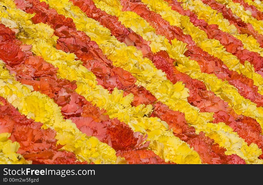 Flower Carpet in brussels belgium