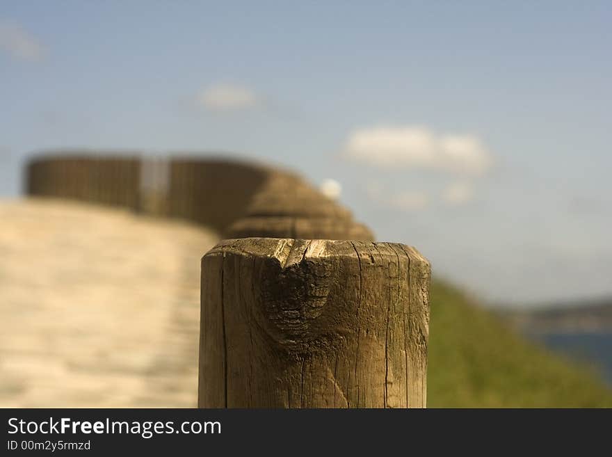 Trunks of wood to the horizon. Trunks of wood to the horizon