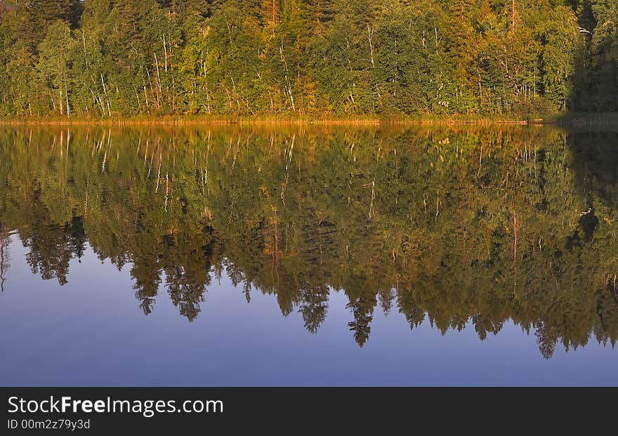 Mountain lake and a dense wood on coast. Mountain lake and a dense wood on coast