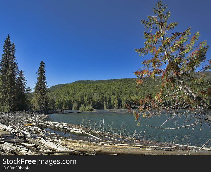 The silent lake surrounded by a wood, popular in fishermen. The silent lake surrounded by a wood, popular in fishermen