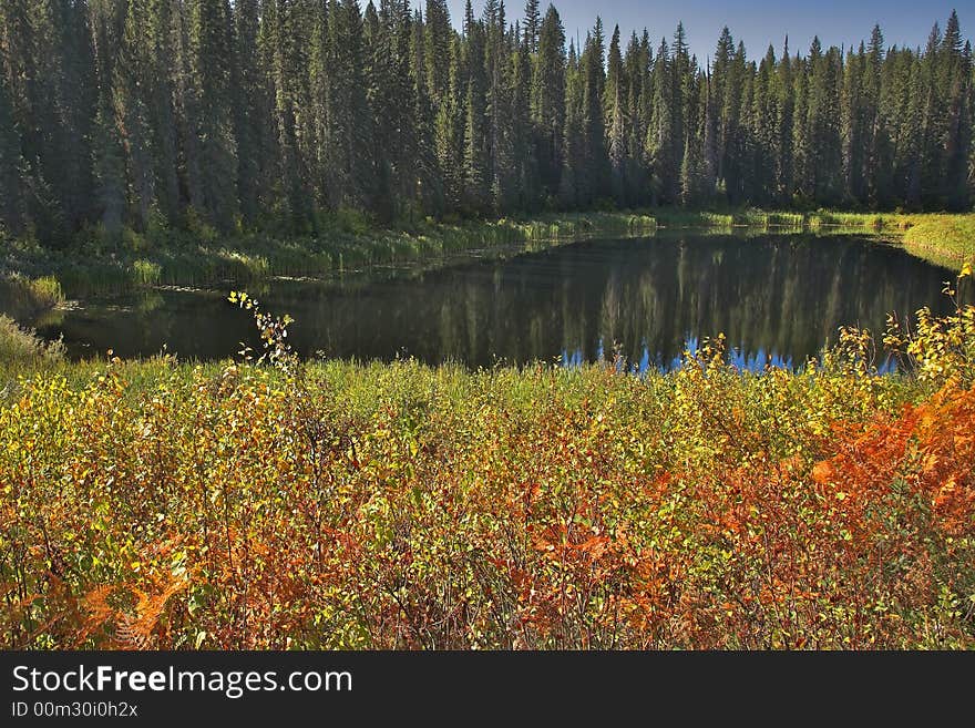 The silent mountain lake surrounded by fur-trees and bushes in the autumn. The silent mountain lake surrounded by fur-trees and bushes in the autumn