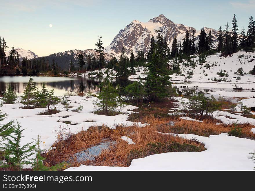 Foliage At Mount Shuksan