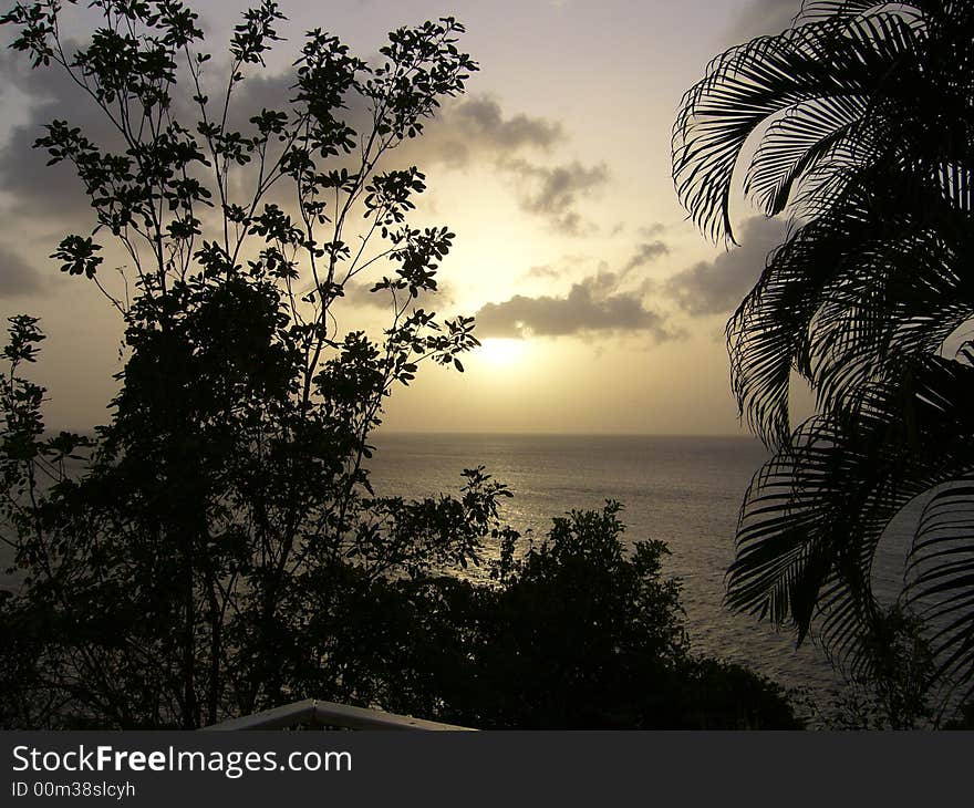 Tropical silhouette of a sunset. Tropical silhouette of a sunset