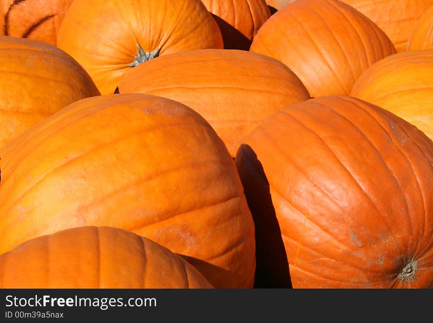 Pile of Pumpkins taken at a local farm.