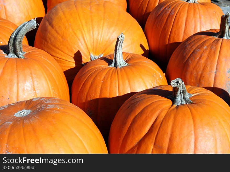 A Pile of pumpkins taken at a local farm.