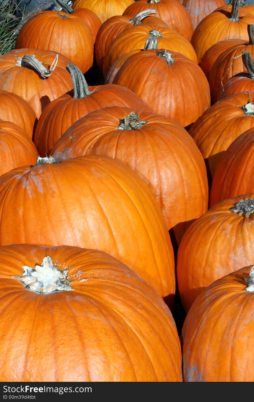 A group of pumpkins taken at a local farm.