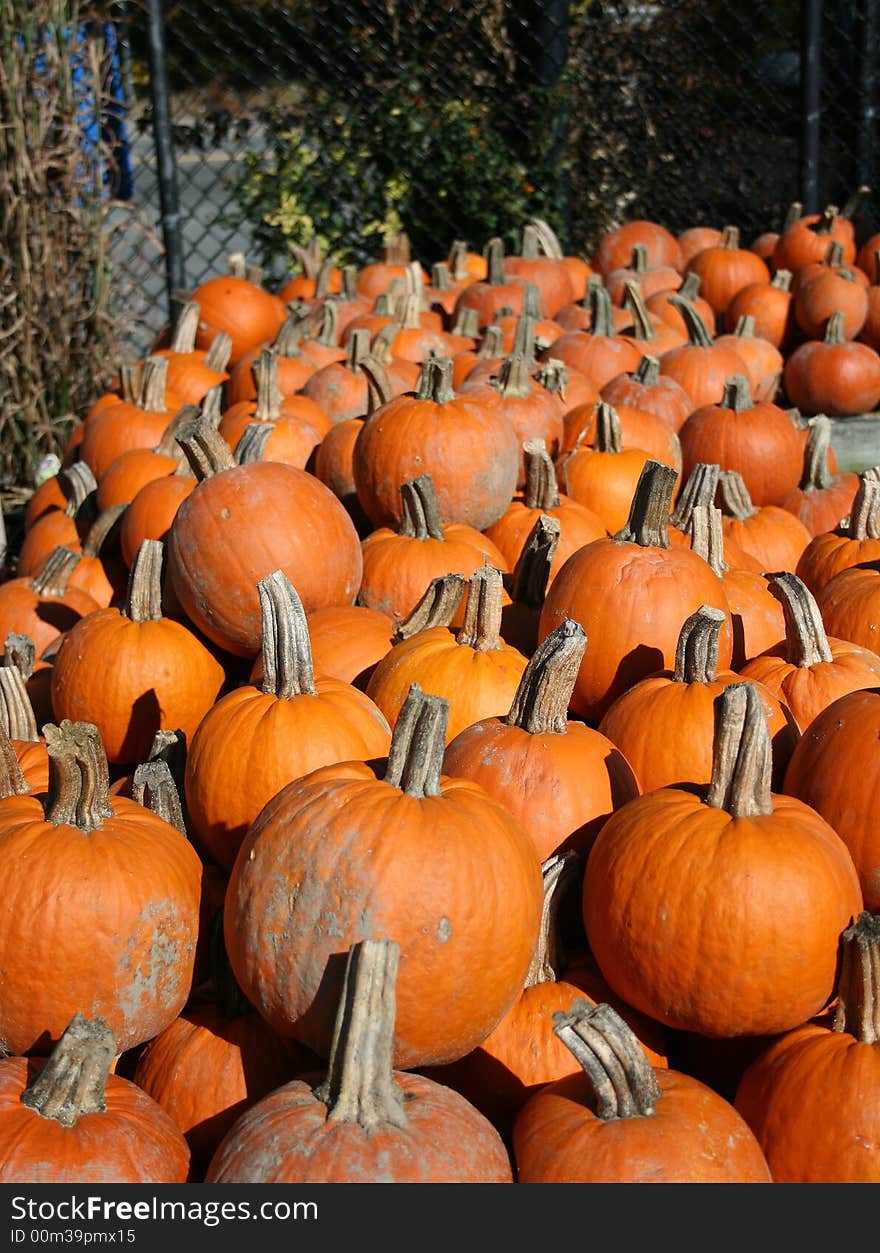 A group of pumpkins taken at a local farm.