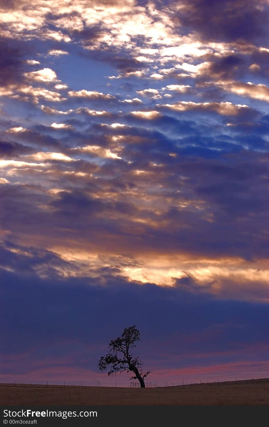 Lone Tree At Sunset