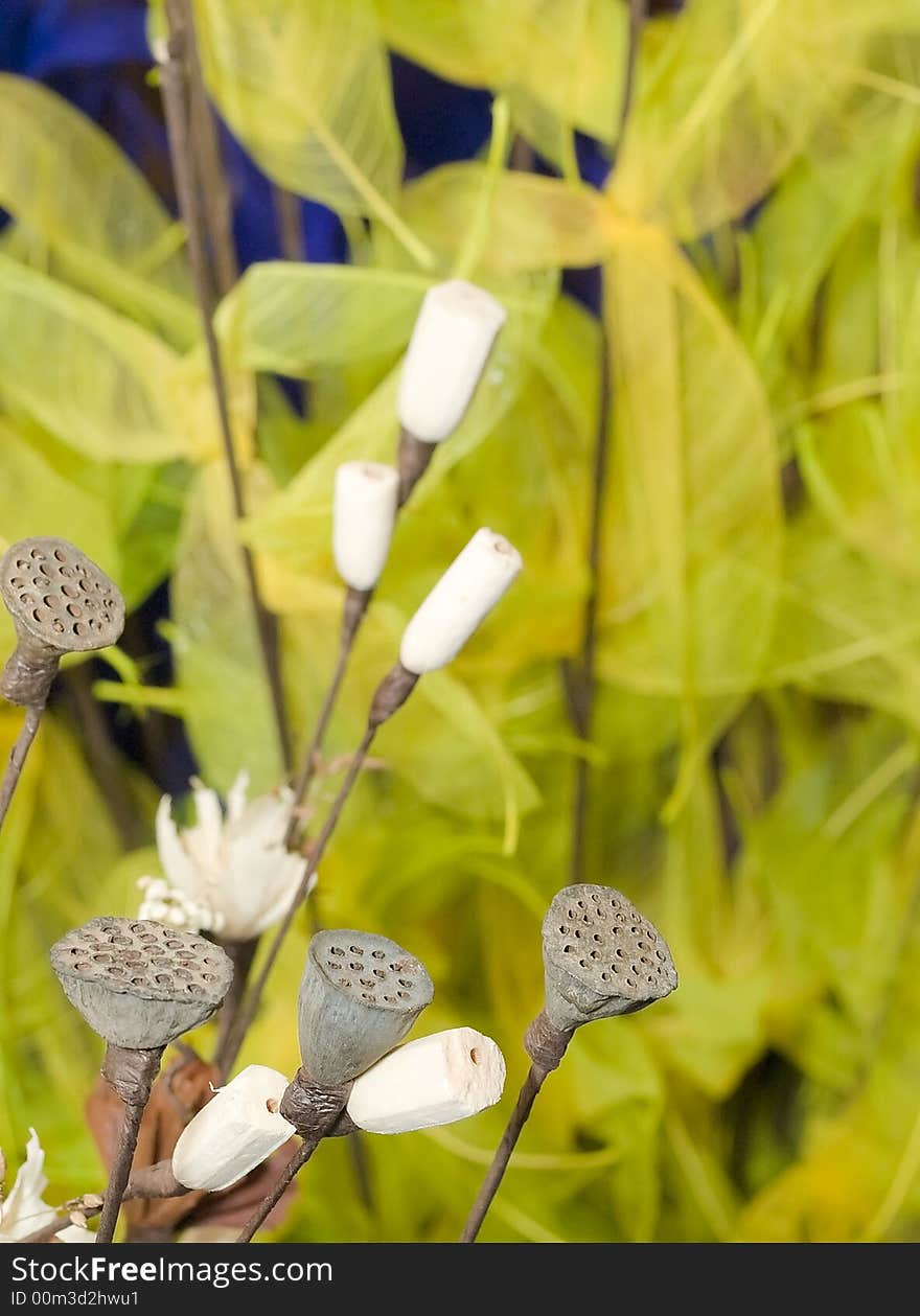 Floral Arrangement