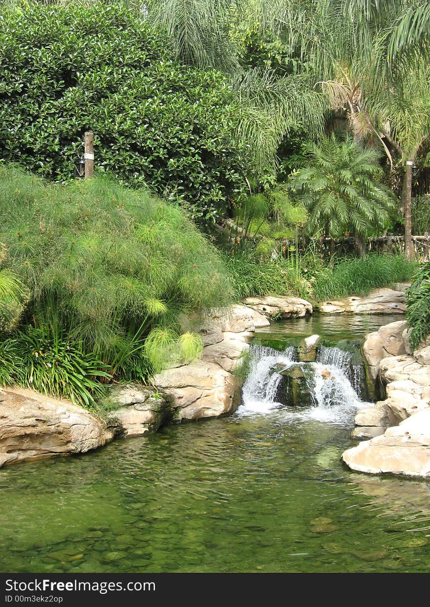 Tropical stream among the lush green leaves