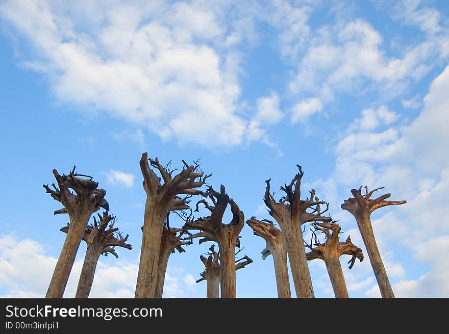 Abstract installation - there are some trees which stand on vice-versa. Abstract installation - there are some trees which stand on vice-versa